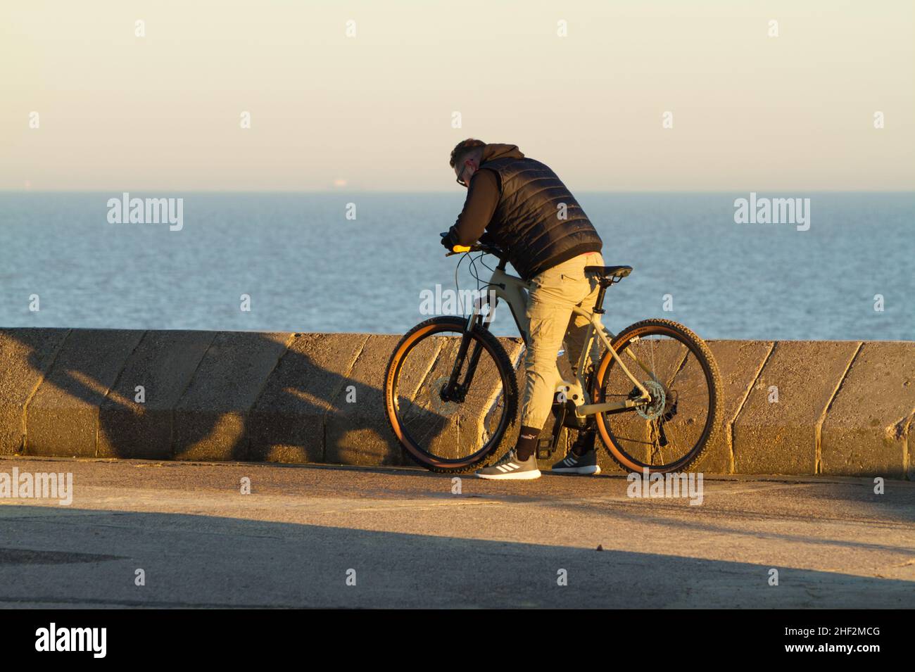 Homme vérifiant le téléphone après avoir arrêté de faire du vélo Banque D'Images