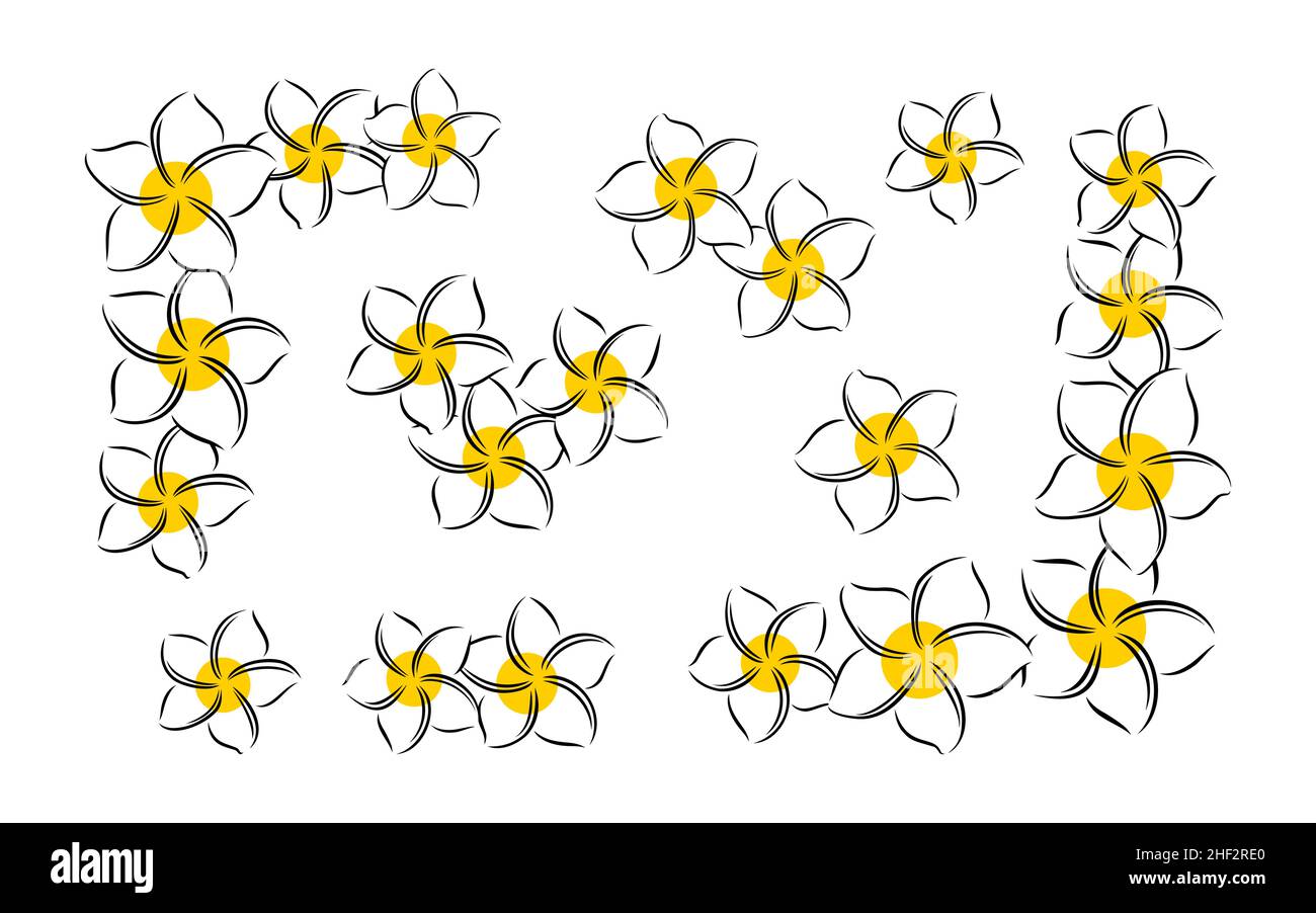 Frangipani ou plumeria fleurs exotiques d'été.Frangipani gravé isolé sur fond blanc.Illustration vectorielle Illustration de Vecteur