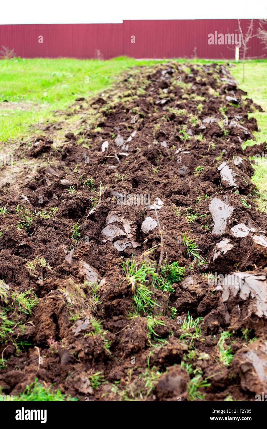 Une bande de terre labourée dans un terrain de jardin au début du printemps.Préparation du sol pour la plantation de cultures. Banque D'Images