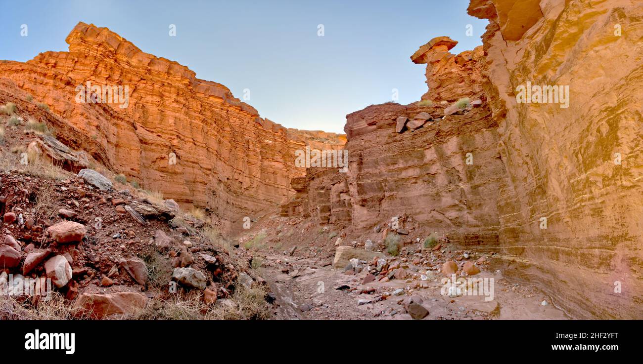 Upper Cathedral Wash dans la zone de loisirs de Glen Canyon Arizona.Ce chemin mène aux falaises de Vermilion. Banque D'Images