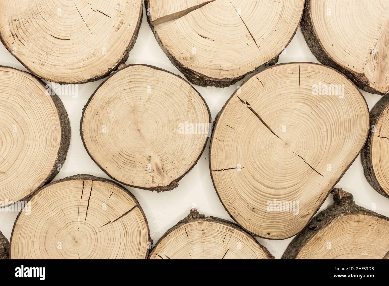 Annuel anneaux en bois Couper surface en bois Résumé Design intérieur arbre arrière-plan. Banque D'Images