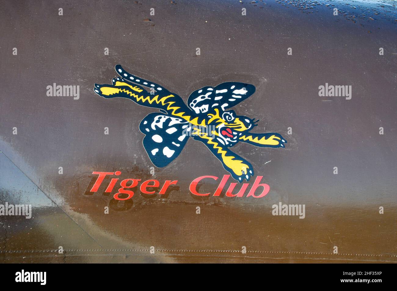 Le nom et le logo du Tiger Club.Un dessin animé volant tigre, sur un avion Tiger Moth Banque D'Images