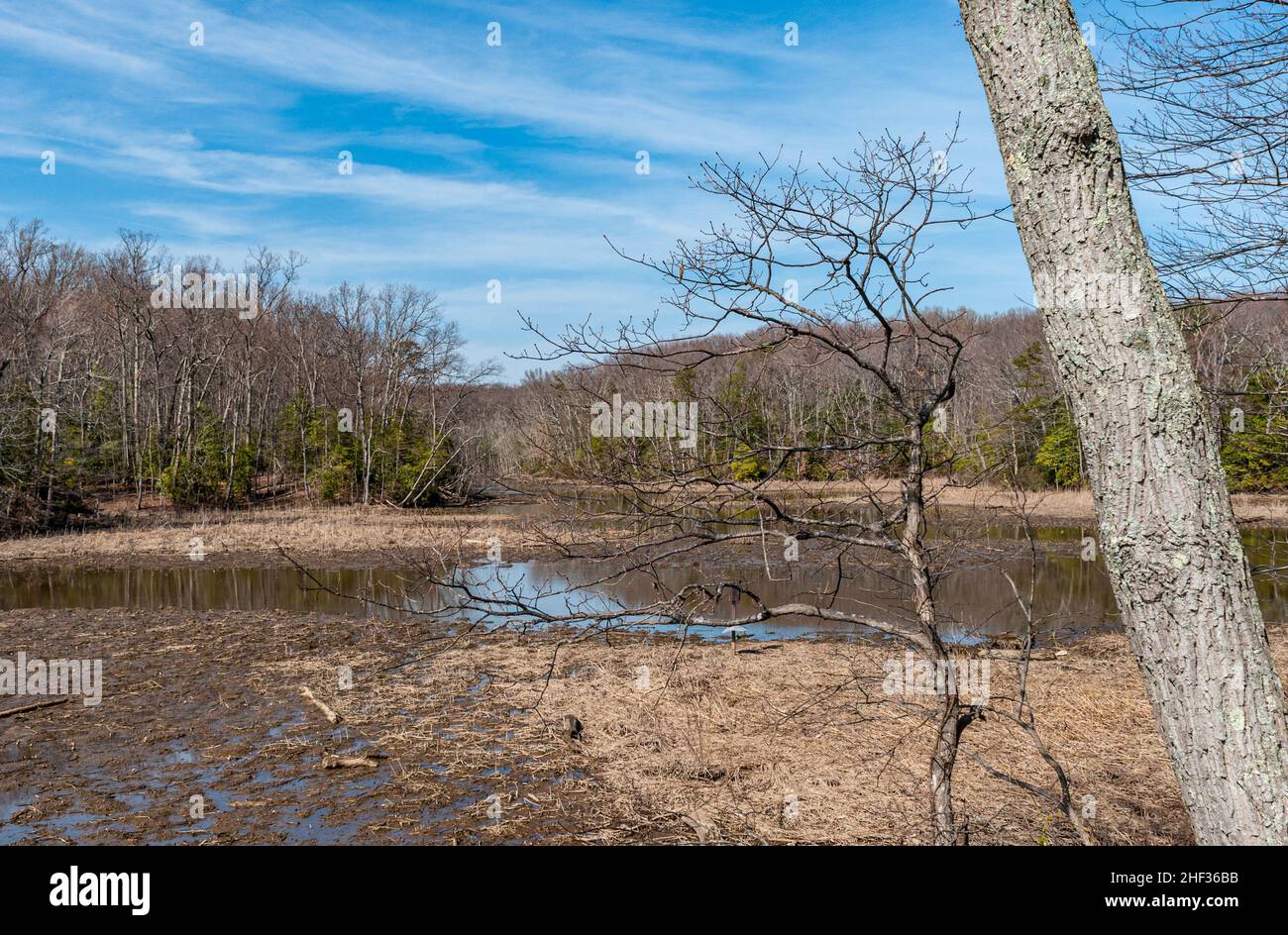 Mason neck national wildlife refuge Banque de photographies et d’images