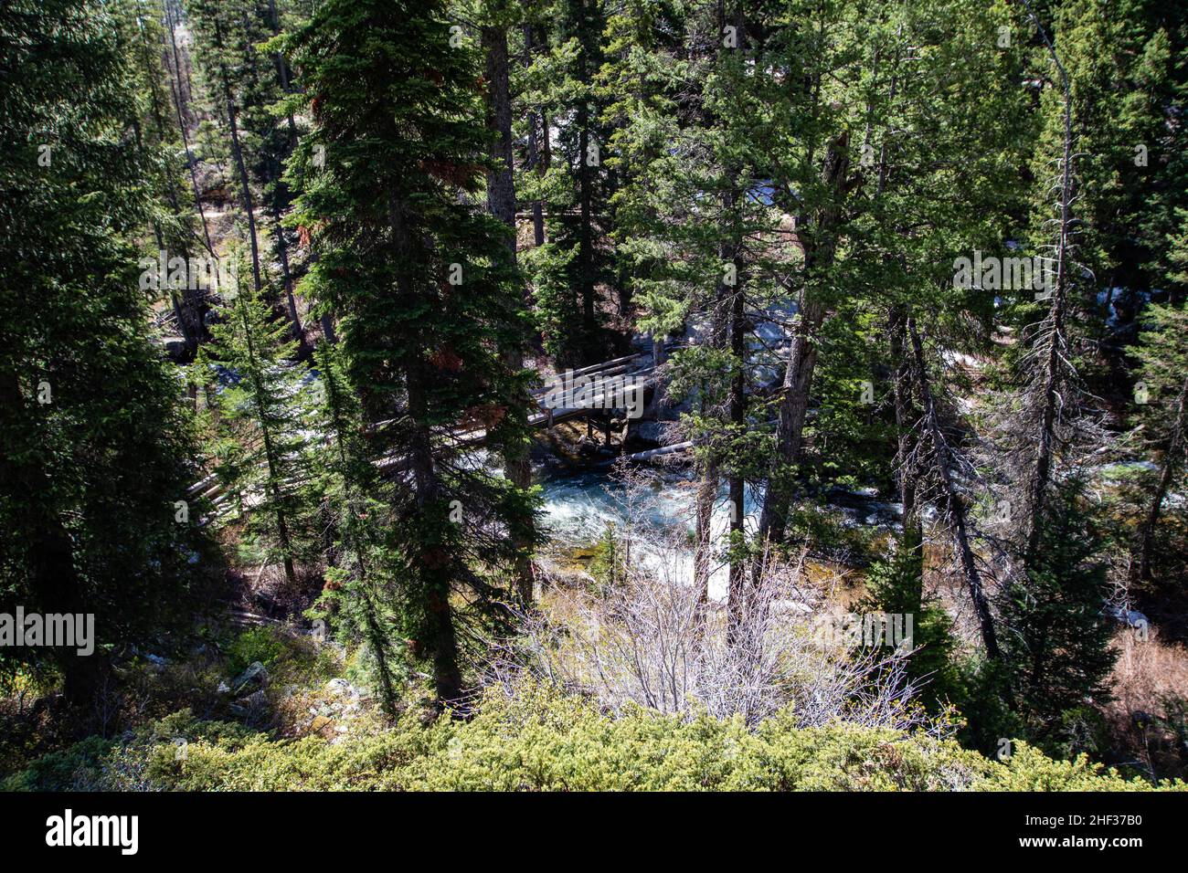 Pont sur Jenny Lake Trail sur le chemin de inspiration point qui surplombe Jenny Lake dans le parc national de Grand Tetons, Wyoming, horizontal Banque D'Images