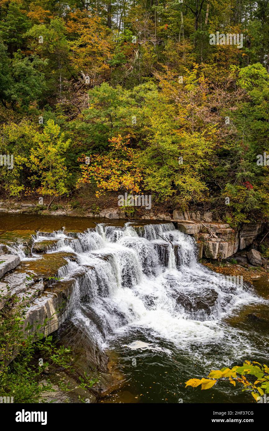 Ruisseau Taughannock durant le changement de couleur des feuilles d'automne dans la région des lacs Finger, dans le nord de l'État de New York. Banque D'Images