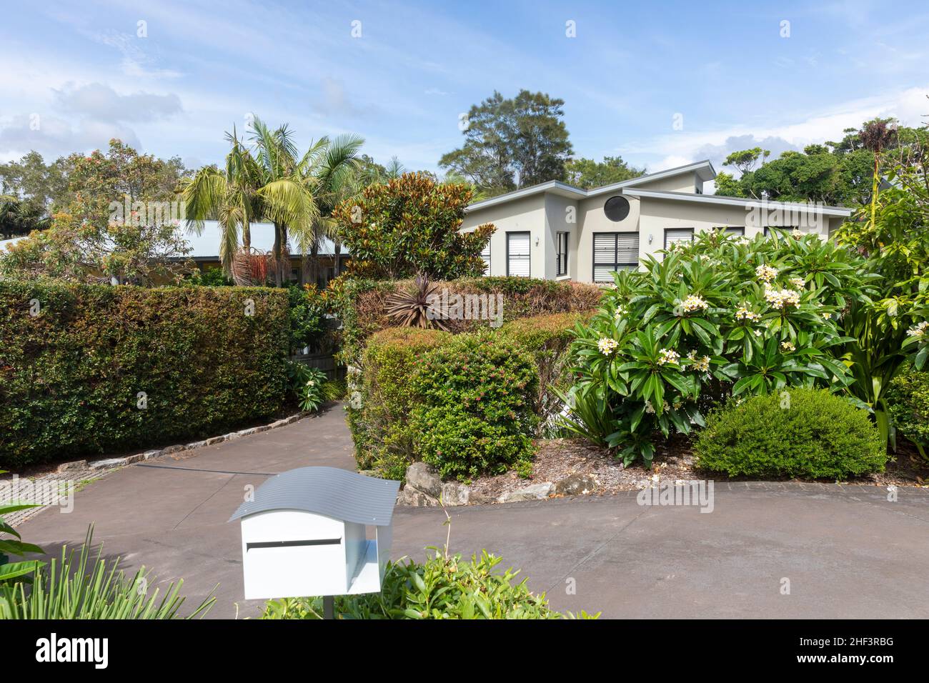Maison australienne et jardin en été avec frangipani fleuri (plumeria) à Avalon Beach, NSW, Australie Banque D'Images