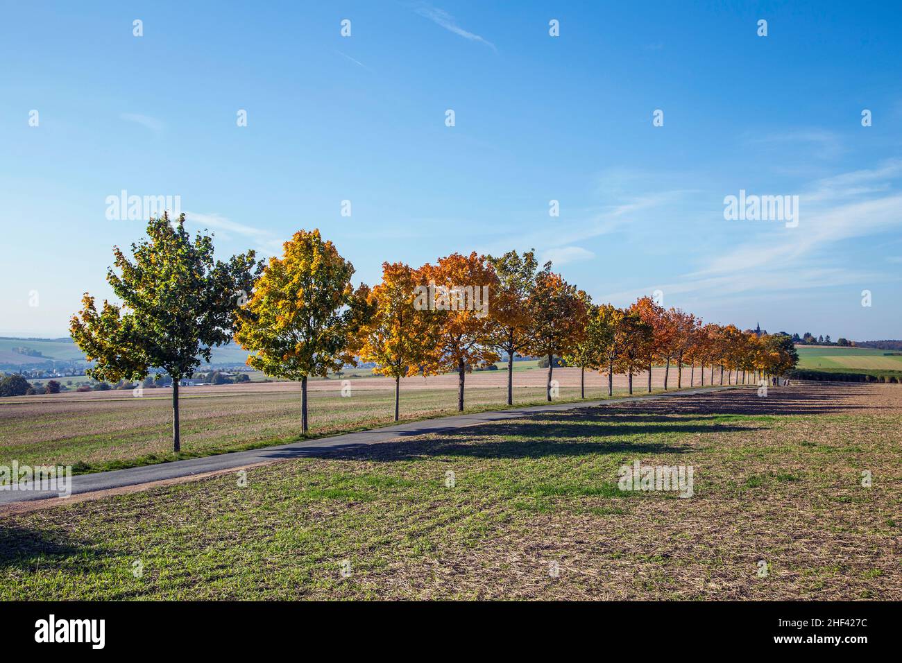 Paysage panoramique avec alley, champs et forêt à Bad Camberg Banque D'Images