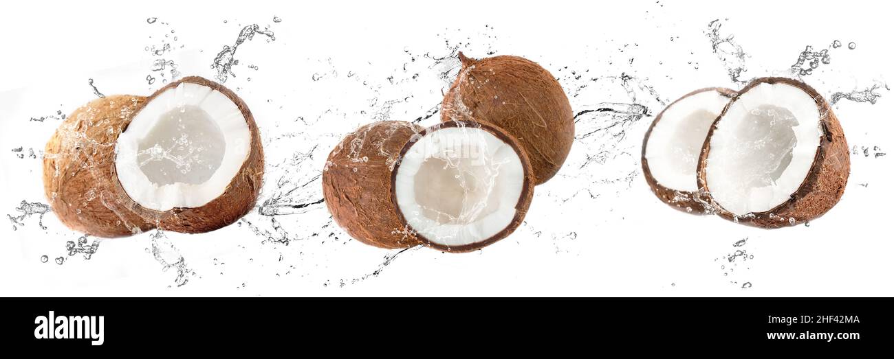 Noix de coco fraîches avec éclaboussures d'eau sur fond blanc isolé Banque D'Images