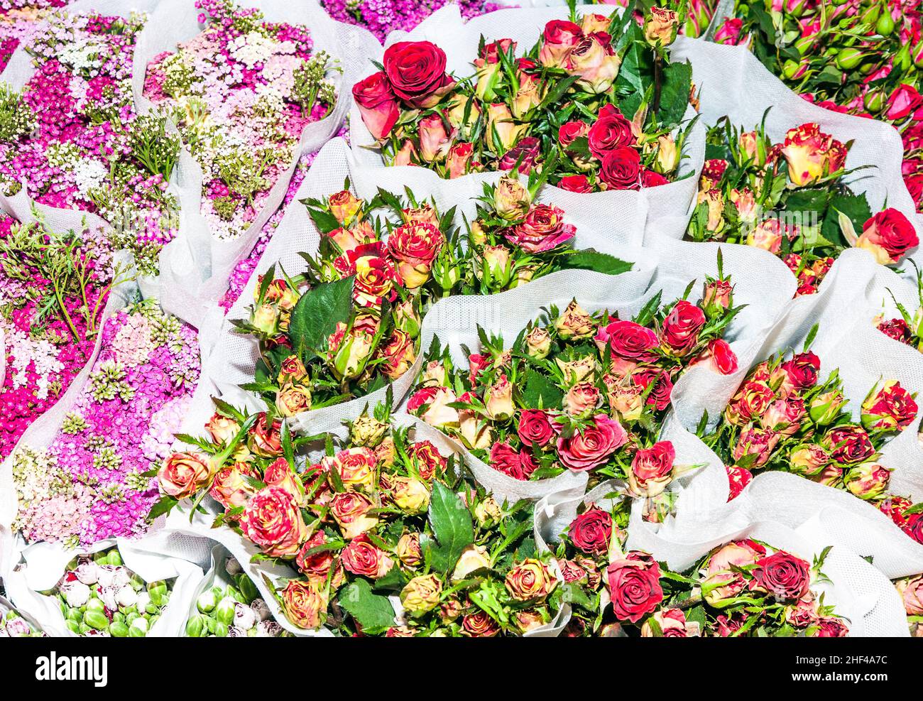 Belles fleurs au marché aux fleurs extérieur de Hong Kong Banque D'Images