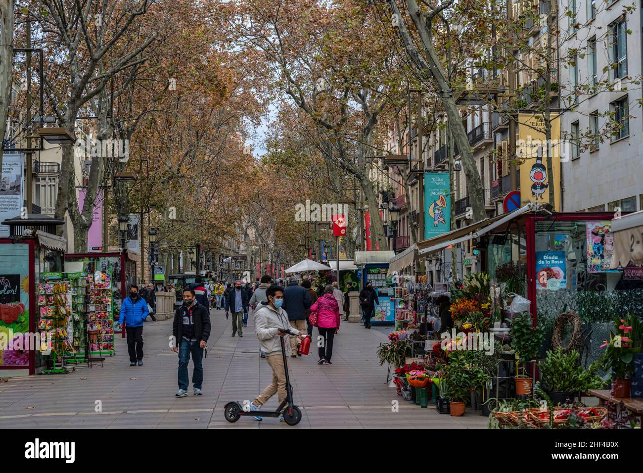Las Ramblas, la promenade la plus populaire de Barcelone, Catalogne, Espagne. Banque D'Images