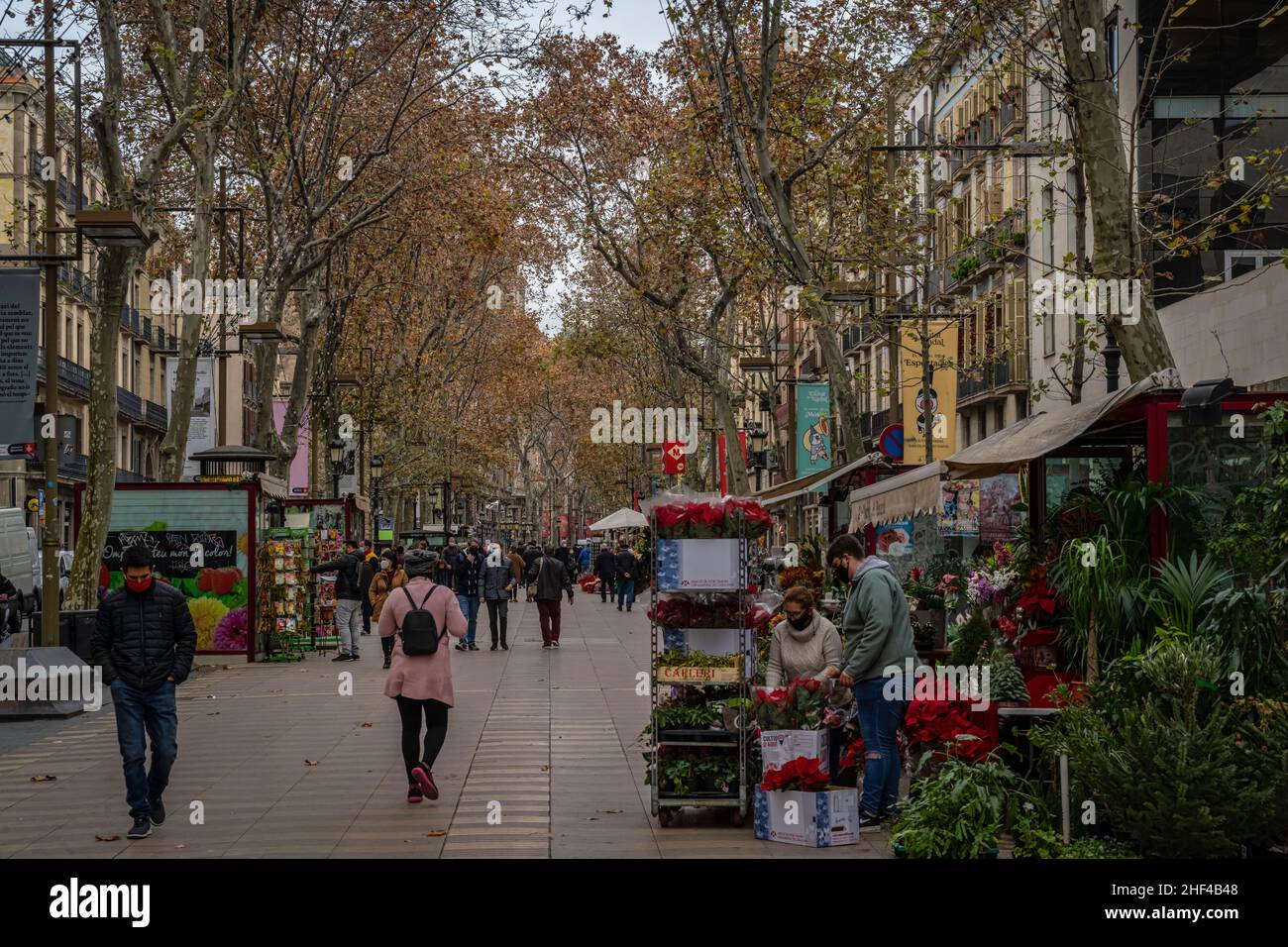Las Ramblas, la promenade la plus populaire de Barcelone, Catalogne, Espagne. Banque D'Images