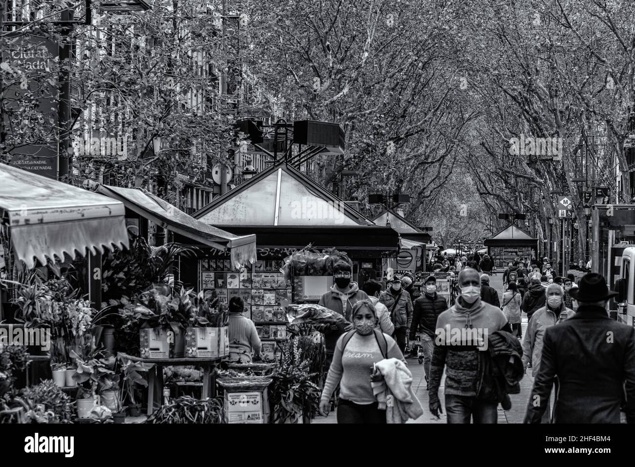 Las Ramblas, la promenade la plus populaire de Barcelone, Catalogne, Espagne. Banque D'Images
