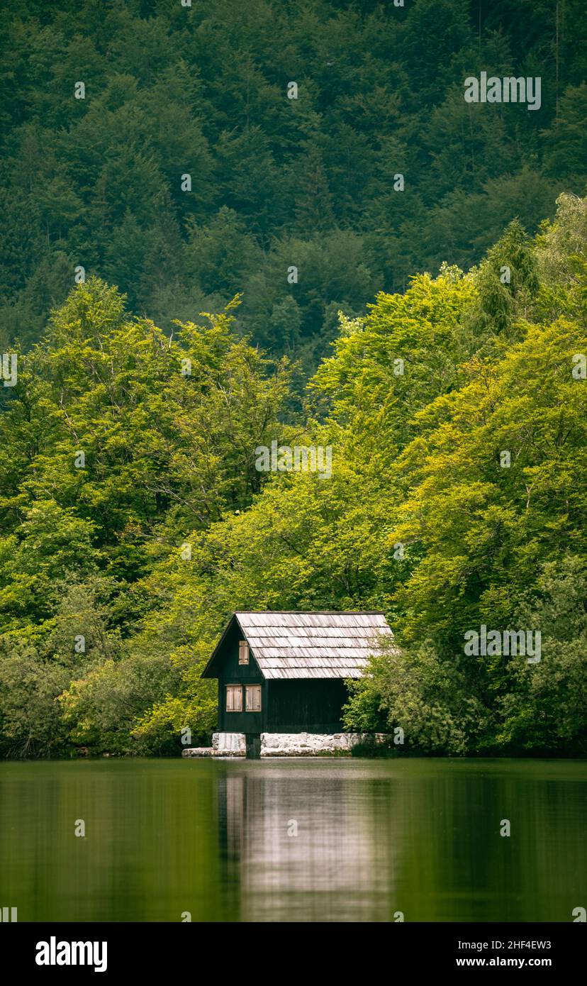 Slovénie lac Bohinj Banque D'Images