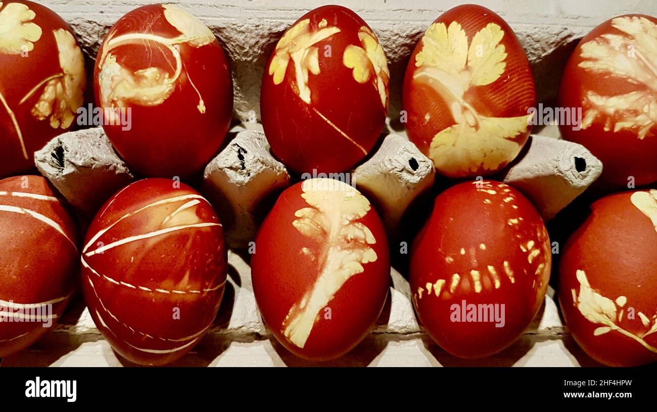 Gros plan oeufs de Pâques naturellement colorés avec des peaux d'oignon et des fleurs dans le carton d'oeufs. Banque D'Images