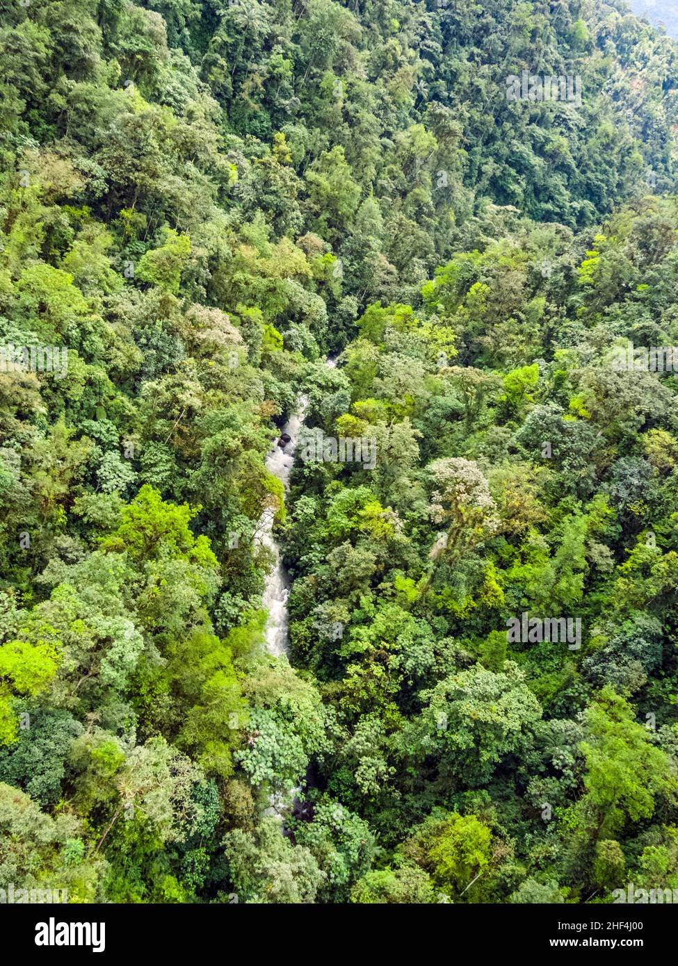 rio Mindo, ouest de l'Équateur, rivière traversant une forêt tropicale à 1 400m altitude. Banque D'Images