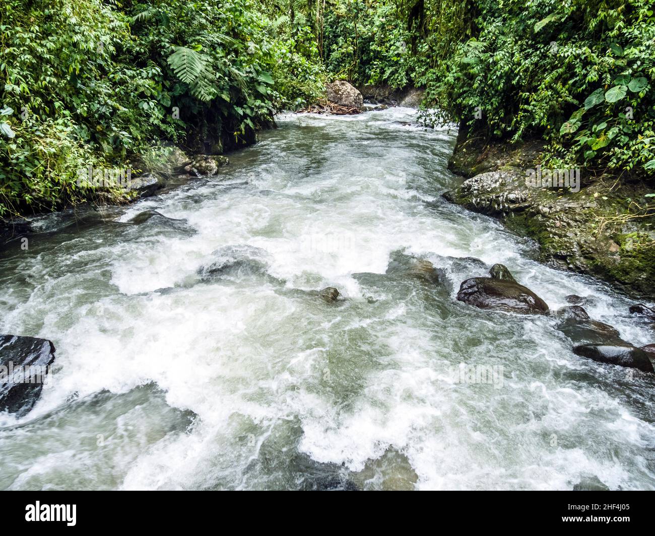 Rio Mindo, dans l'ouest de l'Équateur, rivière qui traverse cloudforest à 1400m d'altitude. Banque D'Images