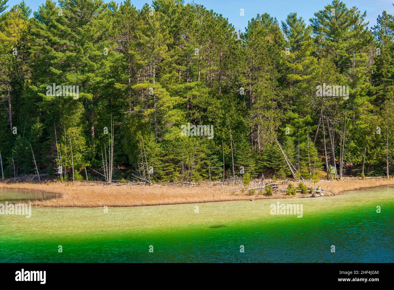 McGinnis Lake North Kawarthas Ontario Canada au printemps Banque D'Images