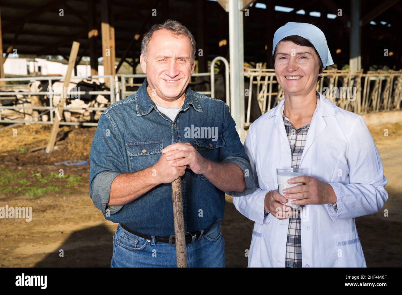 Souriants ouvriers sur ferme de vache Banque D'Images Souriants ouvriers sur ferme de vache Banque D'Images