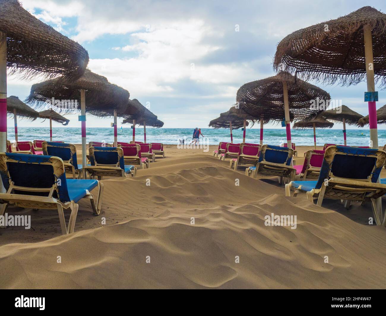 Un chien marchant avec son propriétaire le long de la plage de Marbella entre des chaises longues et des parasols sans personne. Banque D'Images