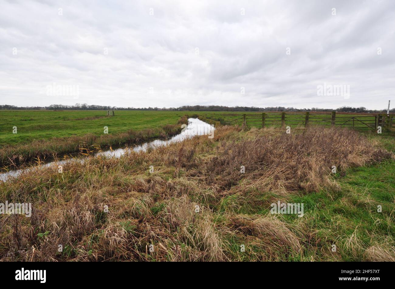 Sur les marais de Halvergate le long du chemin long de Weaver's Way, Norfolk Broads, Angleterre, Royaume-Uni Banque D'Images