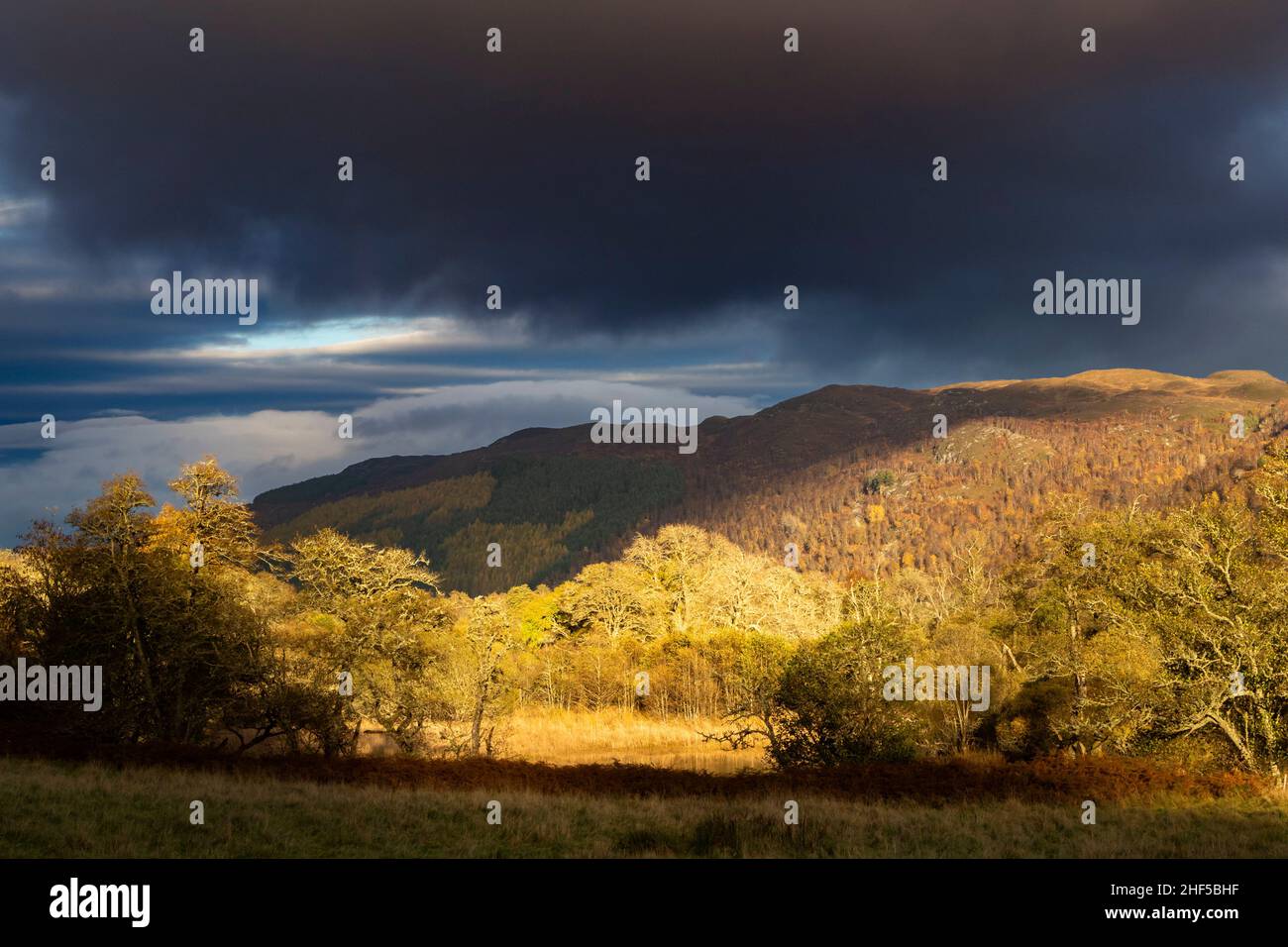 Strathglass entre Cannich et Beauly en automne, Inverness Shire Highlands, Écosse Banque D'Images