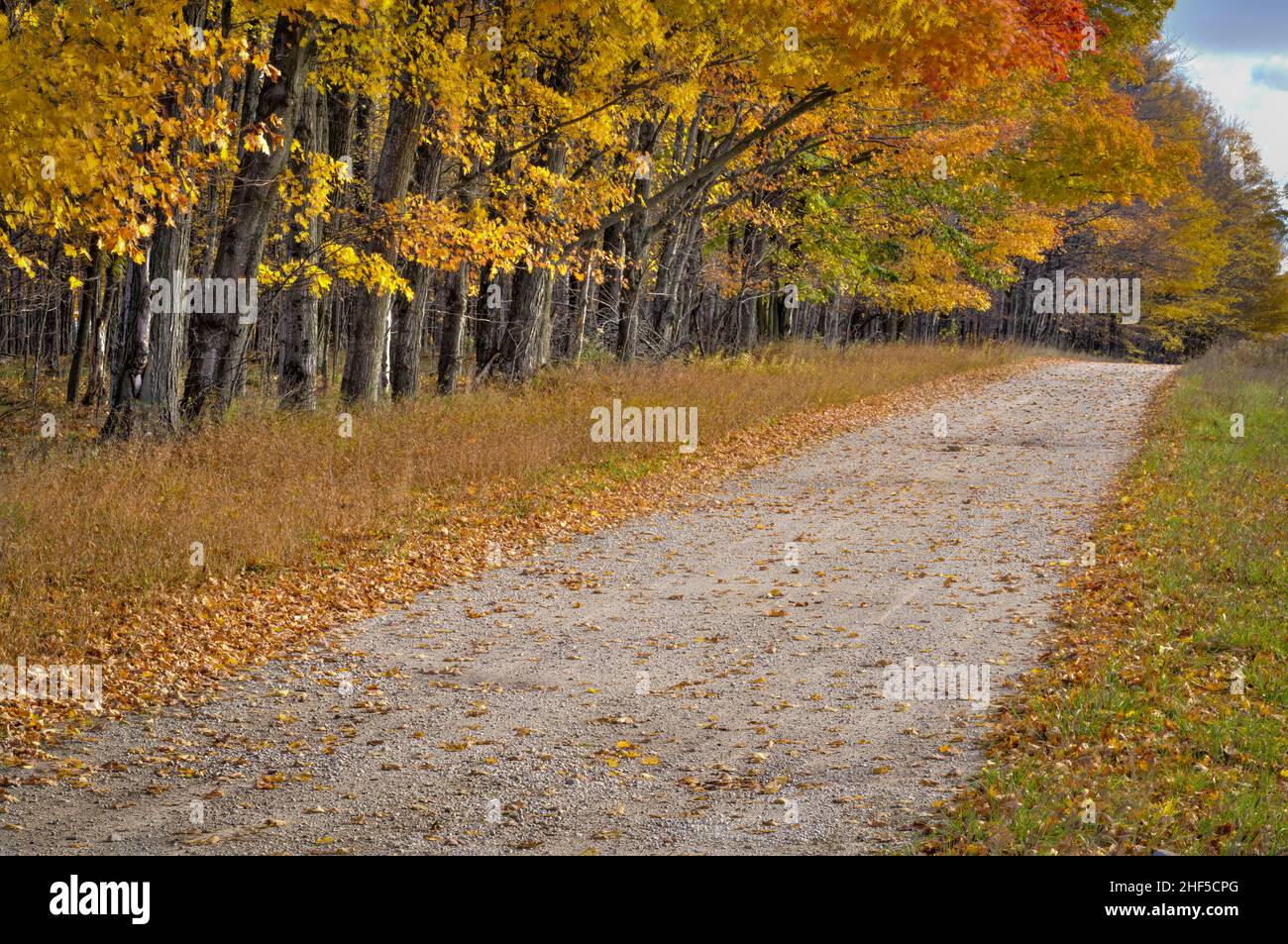 Un exemple de l'écran couleur annuel d'automne qui se produit chaque automne dans le comté de Door, Wisconsin, qui est une destination touristique majeure. Banque D'Images