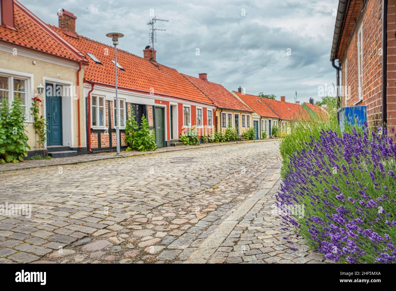 Simrishamn, village de pêcheurs historique en Suède avec rade pavée, fleurs de lavande pourpres par une rangée de maisons anciennes dans la région suédoise d'Osterlen Banque D'Images