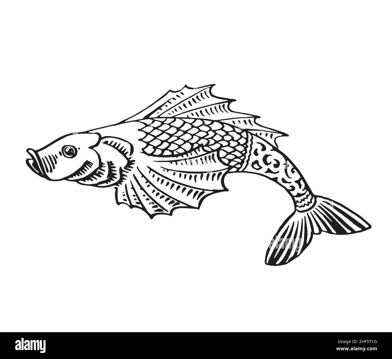 vintage rétro ornemental poisson koi encre dessin illustration isolée sur fond blanc Illustration de Vecteur