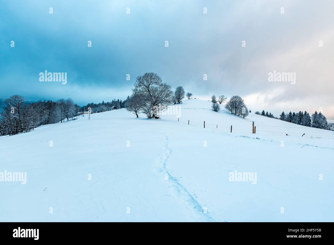 Matin d'hiver sur Cienkow près de Wisla station dans les montagnes de Beskid Slaski en Pologne Banque D'Images