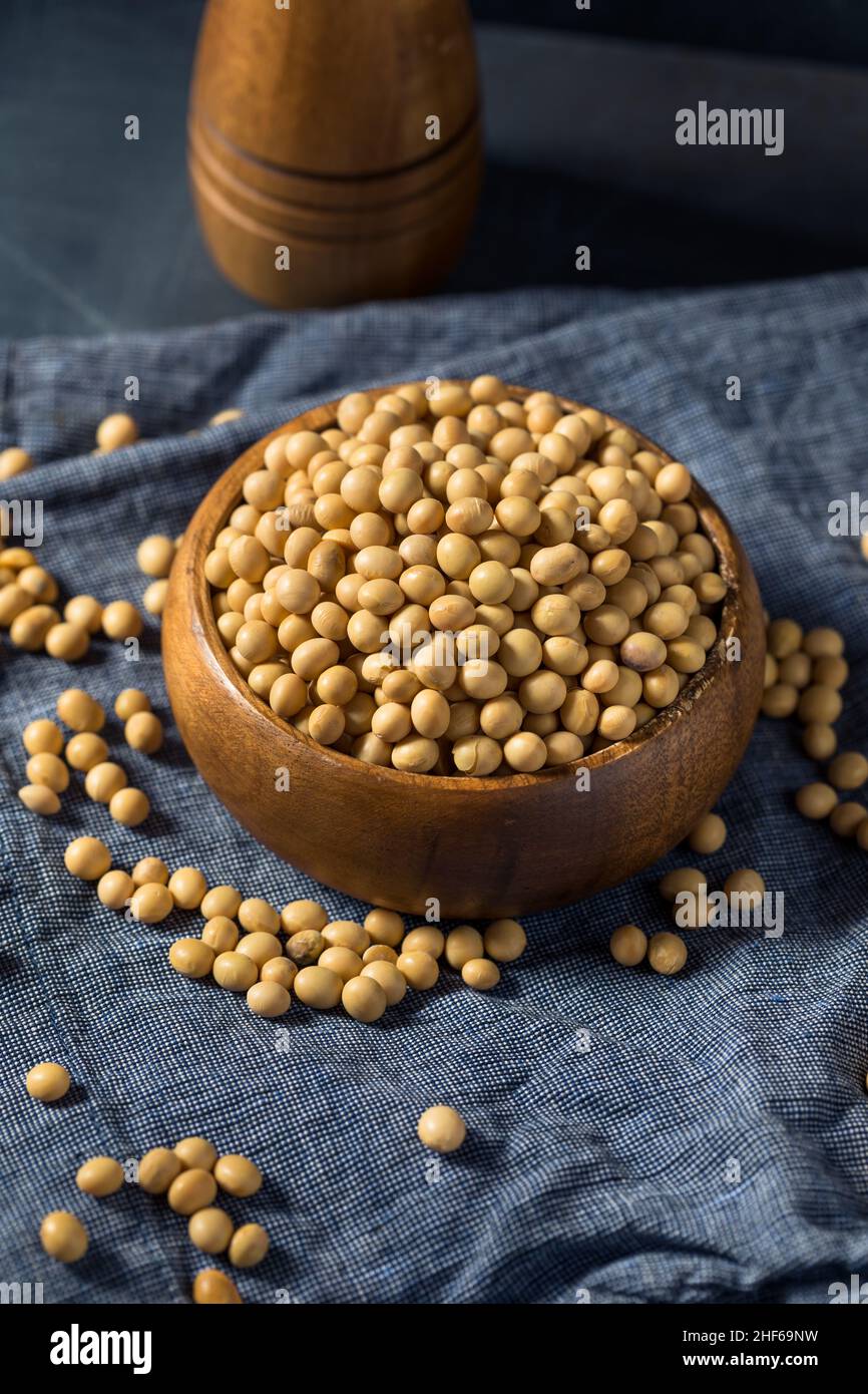 Haricots secs de soja biologique dans un bol Banque D'Images