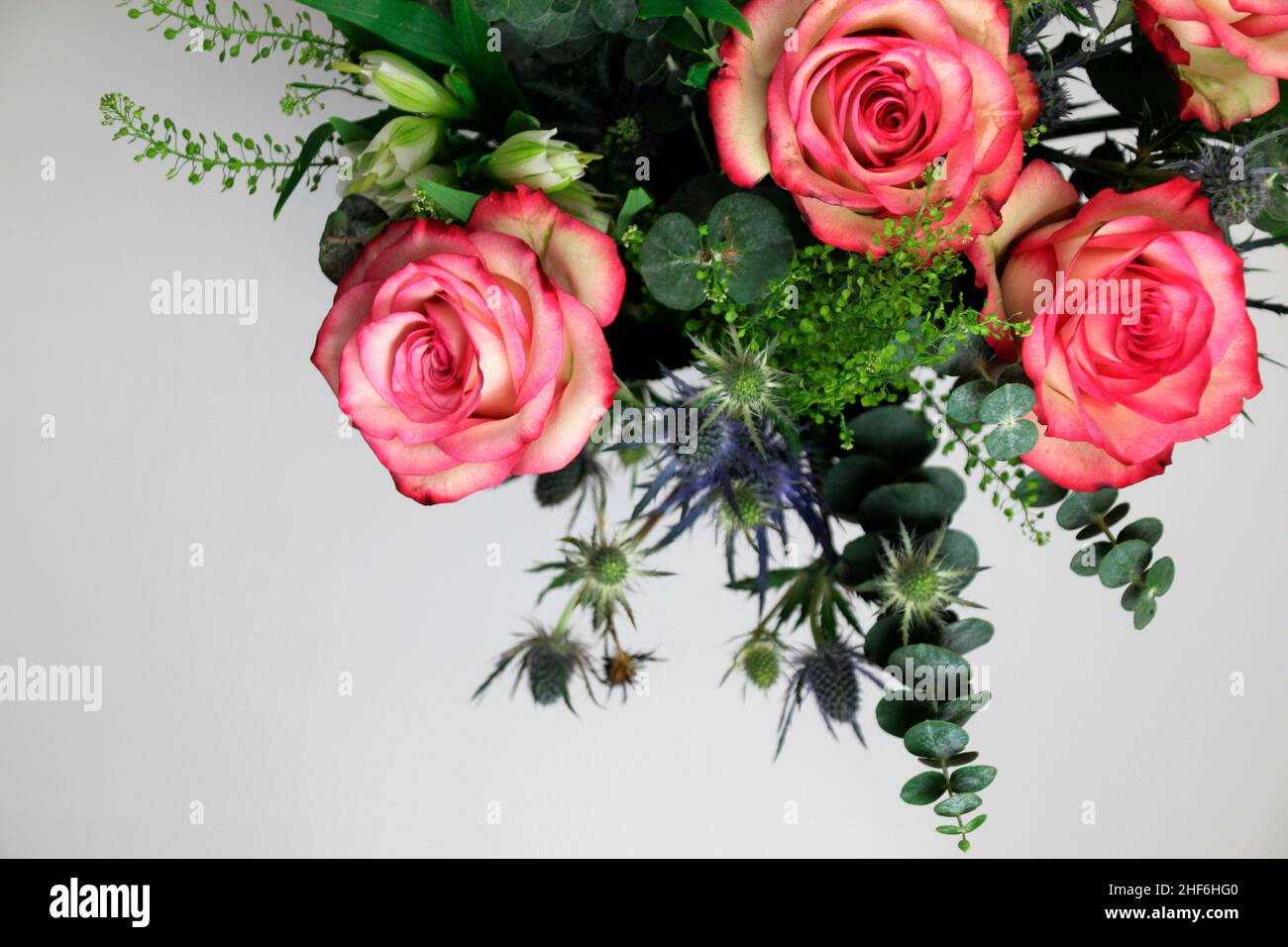 Bouquet de roses roses, gros plan Banque D'Images