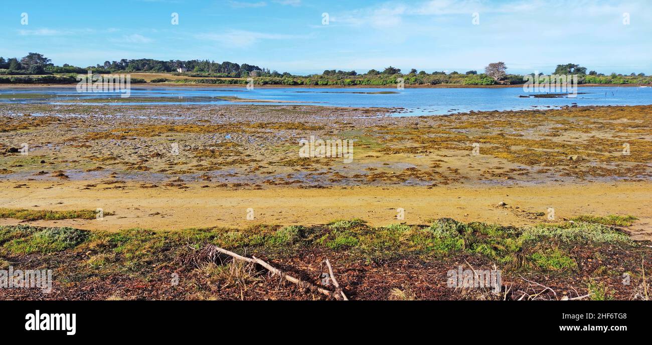 plage-de-gravasson-sur-la-pointe-de-kerners-golfe-du-morbihan-dans-le
