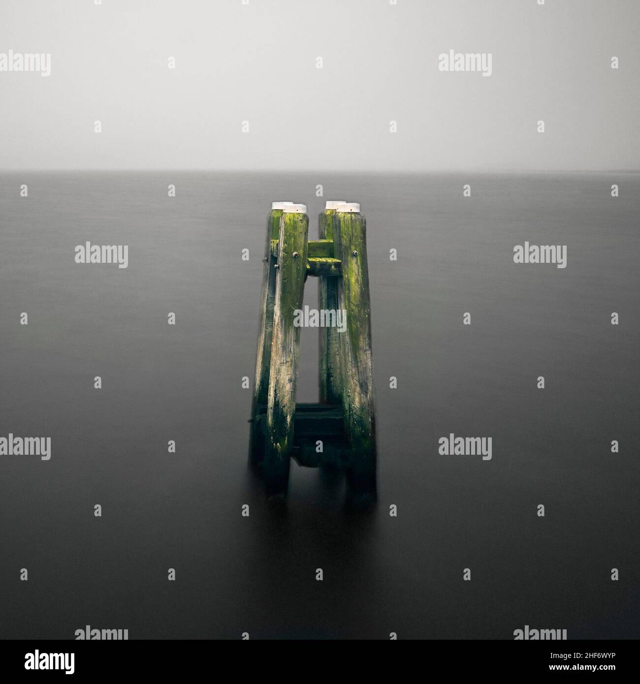 Un dauphin dans la mer où le temps a laissé sa marque Banque D'Images