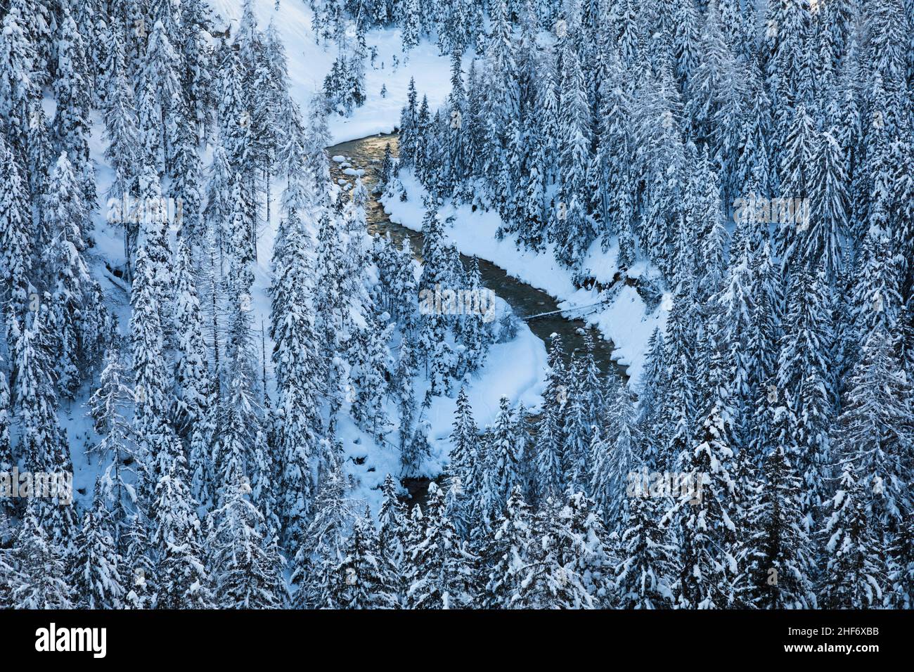 La rivière Fanes s'écoule entre le bois de sapin couvert de neige, la Vallée des Fanes, le Parc naturel des Dolomiti d'Ampezzo, Cortina di Ampezzo, Belluno, Vénétie, Italie Banque D'Images