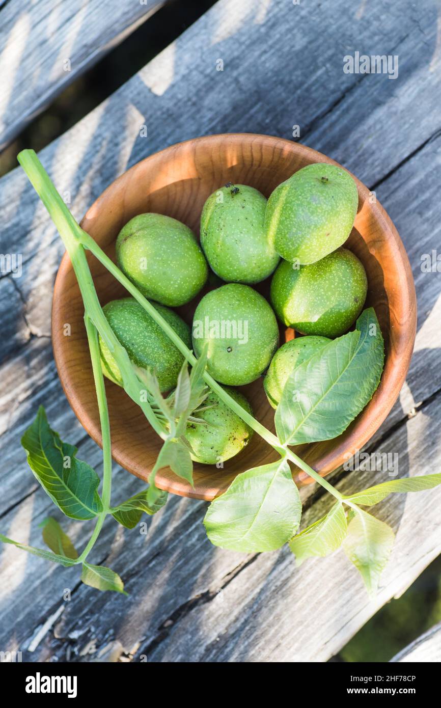 Noix vertes lisses non mûres sur une table ancienne.Feuilles sur la branche de l'écrou.Recueillir les ingrédients pour la teinture des noix Banque D'Images