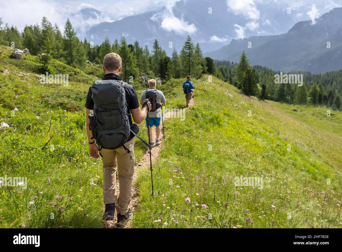 Vue arrière d'un groupe de randonneurs sur un sentier de montagne Banque D'Images
