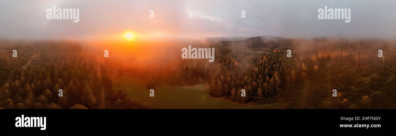 Allemagne, Thuringe, Großbreitenbach, Neustadt am Rennsteig, le soleil brille à travers le brouillard du sol, lever du soleil, paysage, forêt, montagnes,Chemins forestiers, environnement de Rennsteig, panorama à 360°, partiellement rétro-éclairage Banque D'Images