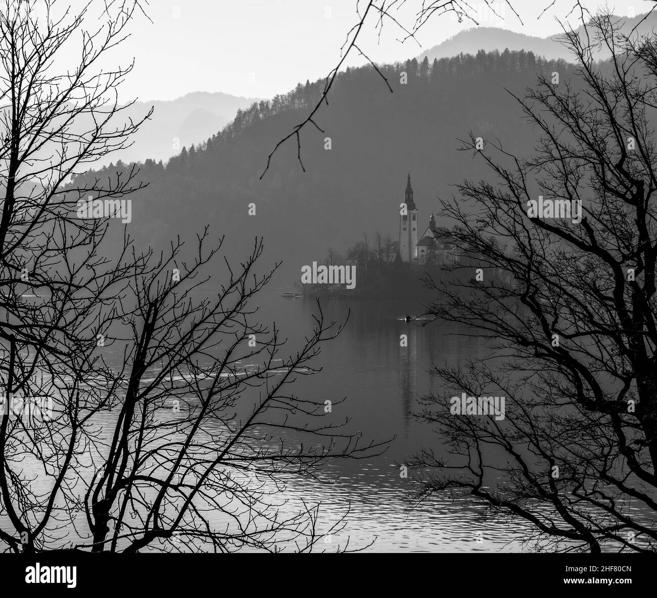 Lac de Bled dans le parc national de Triglav. Alpes Juliennes en Slovénie, Europe Banque D'Images