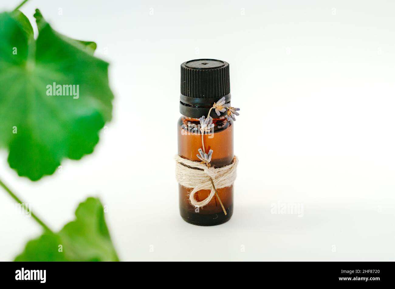 Bouteille de parfum avec une fleur sur fond blanc avec des feuilles de plante maison en premier plan Banque D'Images