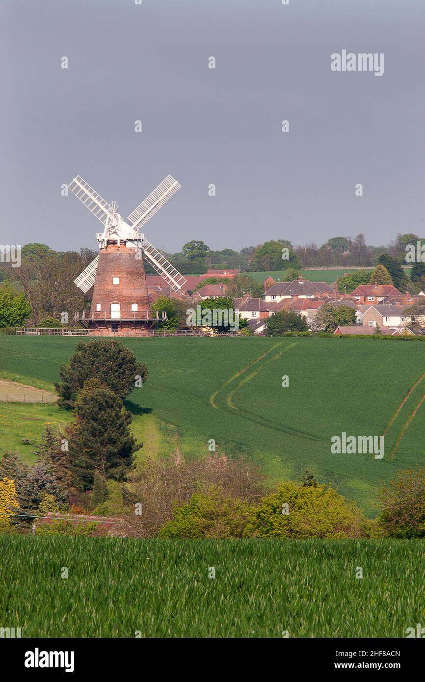 Thaxted et moulin à vent (Lowes Mill), Essex, Angleterre Banque D'Images