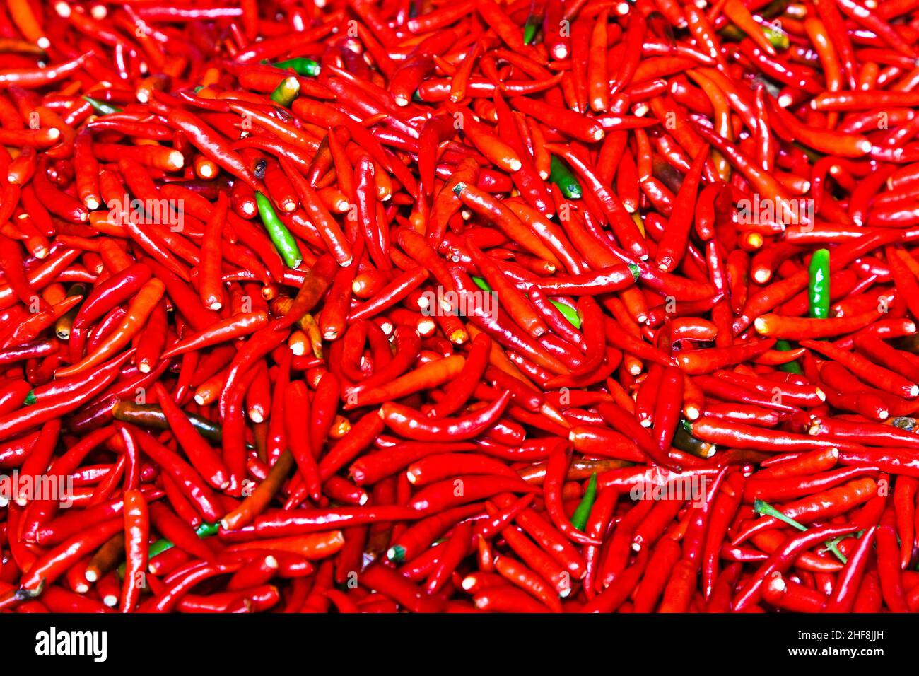 Le chili sur le marché aux fleurs, herbes tôt le matin à Bangkok Banque D'Images