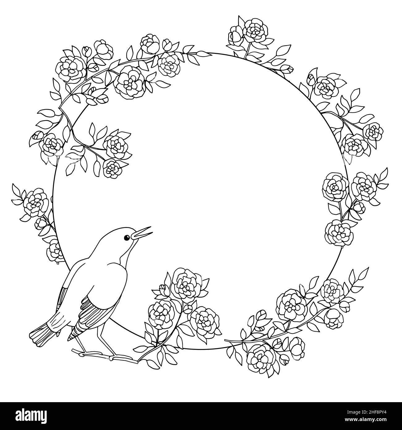 Cadre vectoriel avec branches à fleurs et oiseaux dessinées à la main, page de coloriage pour les enfants et les adultes Illustration de Vecteur
