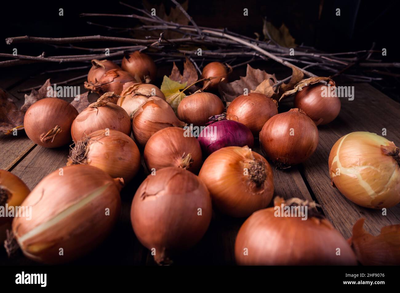 Des oignons fraîchement récoltés de différents types et tailles sur une table en bois.Photo de haute qualité Banque D'Images