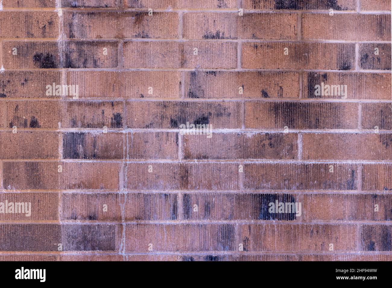 Briques layées comme un mur d'arrière-plan avec des couleurs variées Banque D'Images