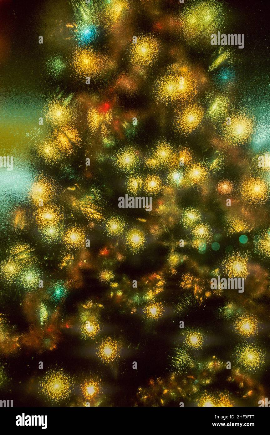Les lumières d'un arbre de Noël coloré sont diffusées par condensation sur une fenêtre lors d'une nuit d'hiver à Cambridge, ma. Banque D'Images