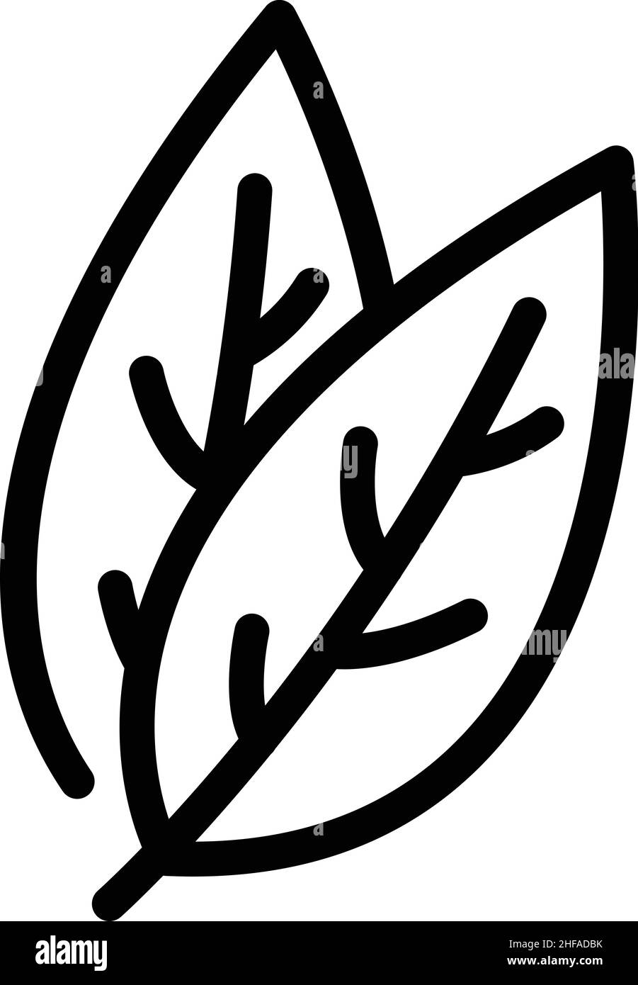 Vecteur de contour de l'icône d'aliment des feuilles.Flegume de la binge.Noix de coco Agave Illustration de Vecteur