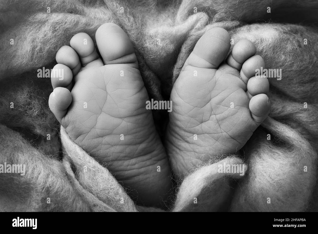Le pied minuscule d'un nouveau-né.Pieds doux d'un nouveau-né dans une couverture en laine.Gros plan des orteils, des talons et des pieds d'un bébé. Banque D'Images