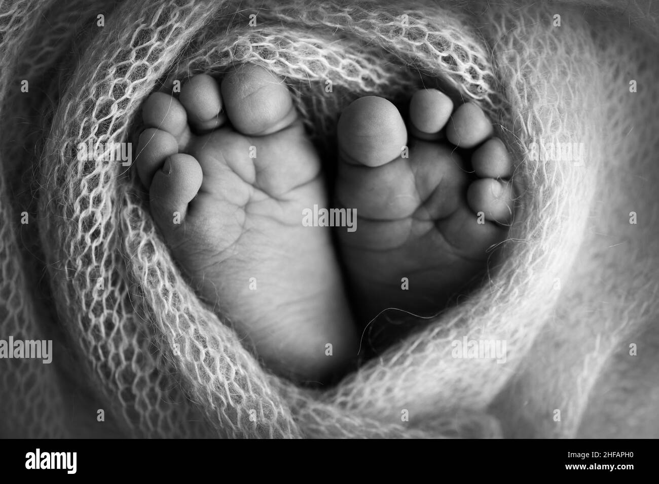 Le pied minuscule d'un nouveau-né.Pieds doux d'un nouveau-né dans une couverture en laine.Gros plan des orteils, des talons et des pieds d'un bébé. Banque D'Images
