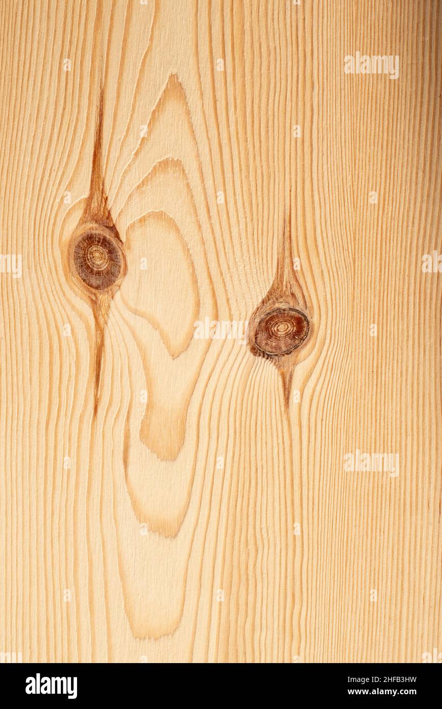 Pareidolia d'un monstre sur une planche de bois. La forme du grain de bois et des noeuds forment un visage étrange. Banque D'Images