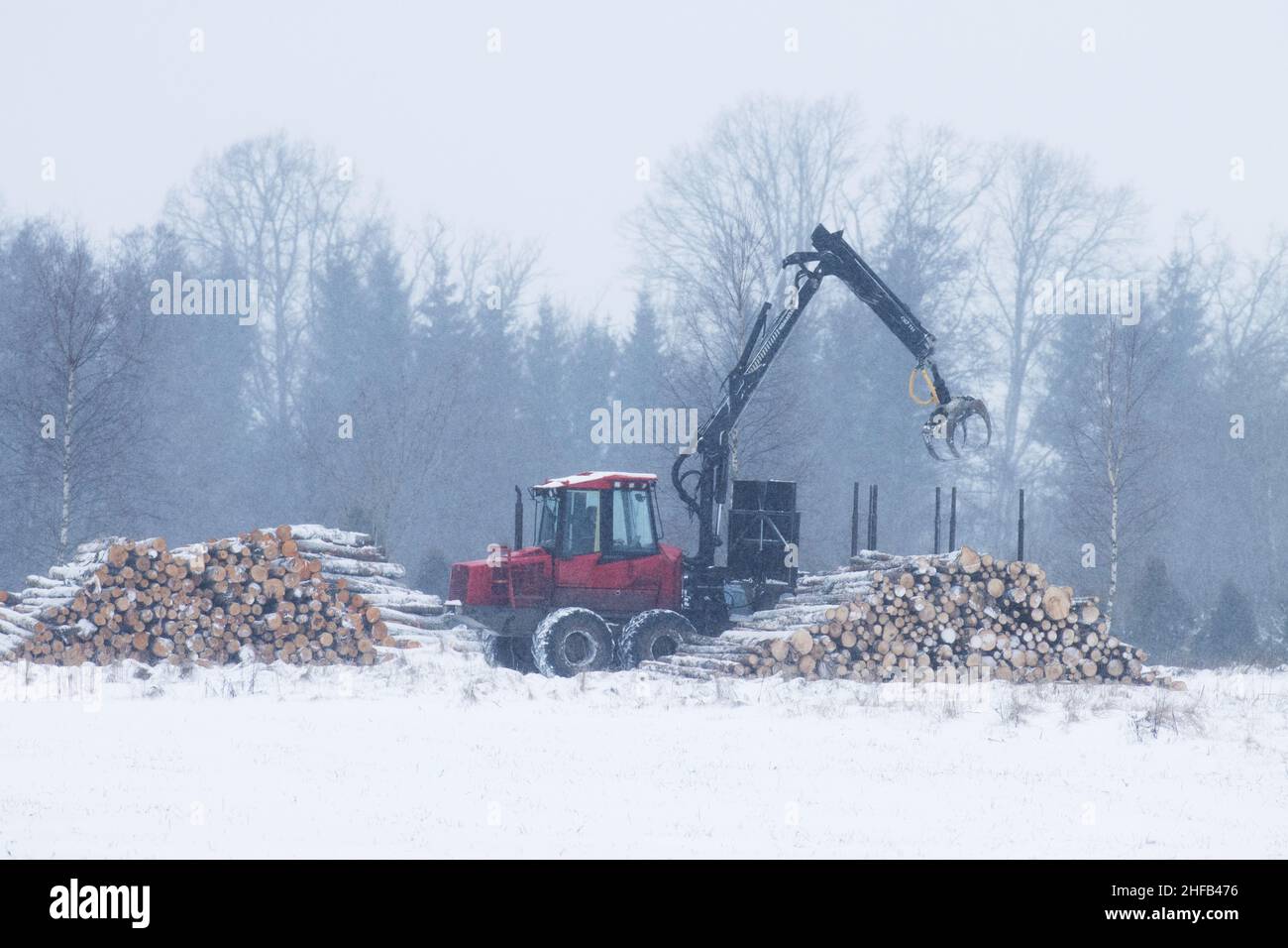 Un transitaire en bois rouge déchargeant du bois sur une pile de bois lors d'un froid hiver en Estonie, en Europe du Nord. Banque D'Images